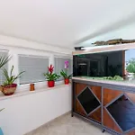 Apartament In 27606 *